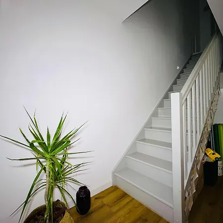 Maison Ville&ocean&foret Ferienhaus Saint-Vincent-de-Tyrosse