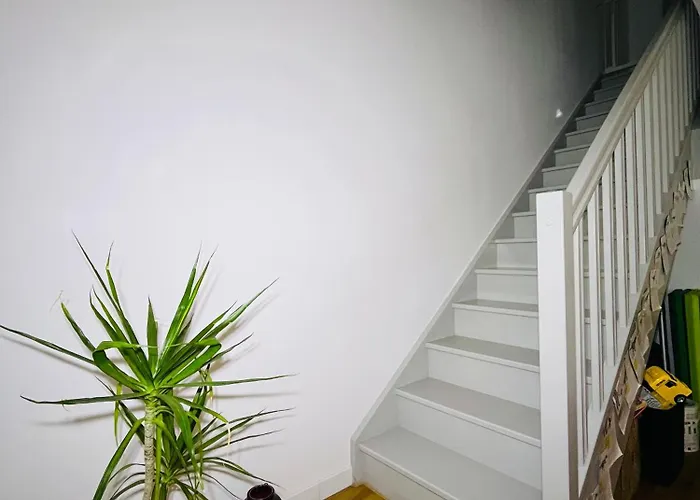 Maison Ville&ocean&foret Holiday home Saint-Vincent-de-Tyrosse